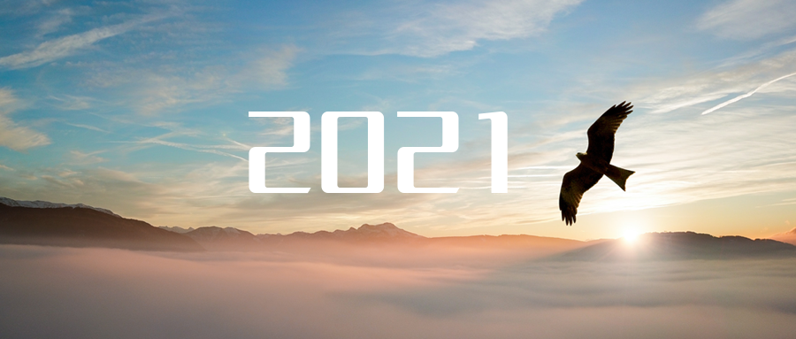 乘“峰”而上，智“盈”未来 ——2021年best365英国在线体育高级资深副总裁新年开工动员